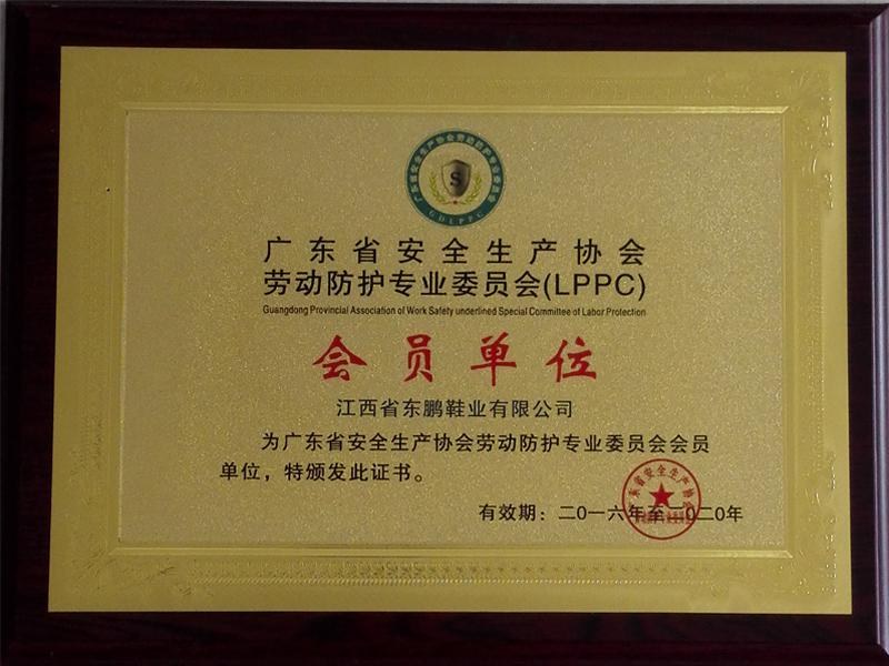 2016年广东省安全生产协会劳动防护专业委员会